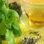 Настой мелисы