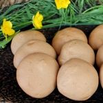 Воздушное бисквитное печенье