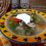 Суп овощной со свежей капустой и грибами