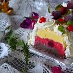 Бюш из мороженого