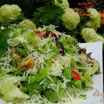 Зеленый салат с помидорами черри и пармезаном