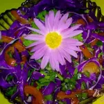 Салат из краснокочанной капусты