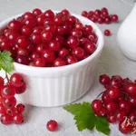 Заморозка красной смородины