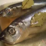 Маринованная сельдь