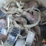 Маринованная скумбрия