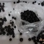Замороженная черная смородина