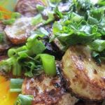 Жаренные кабачки с зеленью и специями.
