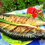 Скумбрия на гриле