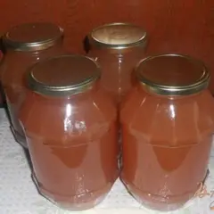 фото рецепта Яблочный сок из соковарки