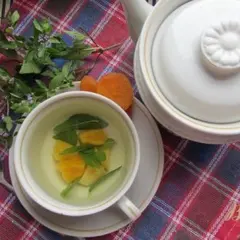 фото рецепта Мятный чай с курагой