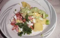 В каждую тарелку положить мясо, картошку, яйца, зеленый лук, редиску, огурец. Залить квасом.