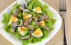 Сверху выложить кусочки сельди, яйца и лук, полить заправкой. Такой салат из сельди отлично сочетается с картофелем в любом виде (пюре, вареной, запеченной).