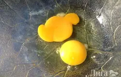 в другую миску разбиваем яйца