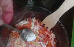 Капусту, лук, чеснок , морковь поместить в большую посуду. Посолить и встряхнуть снизу вверх. Овощи перемешать равномерно! Я мешаю деревянной вилкой, так как она не мнет овощи.