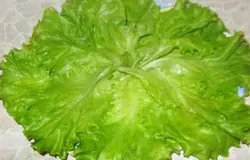 Листья салата промыть, просушить и уложить равномерно на дно тарелки.