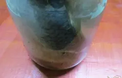 Накрываем крышкой и ставим в холодильник на трое суток.