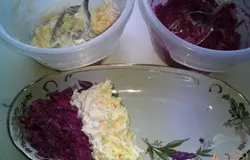 Выкладывать салат полосками чередуя свекольную массу с сырной.