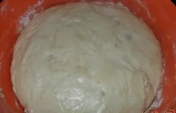 накрываем миску пленкой и ставим в теплое место на 1,5 часа, чтоб подошло.
