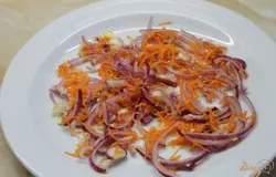 На тарелку сначала выкладываем овощи замаринованные в уксусе с сахаром, далее печень куриную и перемазываем майонезом, потом яйцо и майонез, огурец и майонез и накрываем все плавленным сыром с майонезом.