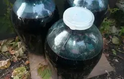 Когда остатки винограда поднимутся наверх, откидываем их на дуршлаг, чистый сок переливаем в банки. Добавляем оставшийся сахар, перемешиваем. При этом количество сахара можно регулировать, в зависимости от того, какое вино вы хотите получить. При указанном количестве вино получается полусладкое. Банки с вином прикрываем крышками и оставляем в теплом месте примерно на месяц. Пока тепло, на своем участке, можно оставить и на улице. Учтите, во время брожения крышка с банки может слететь (некоторые вместо крышки на горлышко банки натягивают резиновую перчатку, она не слетит, только раздуется), за этим надо следить.