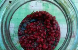 Для этой настойки используем "побочный" продукт от приготовления вишневого варенья - косточки вишен.
