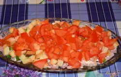 Свежий помидор нарезать на кубики. Желательно перед нарезкой снять шкурку с помидора. Помидор выложите слоем на сухарики. Майонезом поливать сухари не надо. Сам помидор майонезом тоже поливать не надо. Он достаточно сочный. Присолите его чуть-чуть.