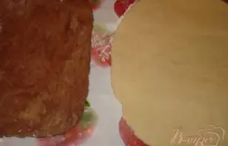 Сметану, сливочное масло(растопить), сахар, яйцо и негашеную соду смешиваем миксером в посудине, Делим на 2 части. В одну добавляем кака. В обе части добавляем муку. Ложим готовое тесто в холодильник (вложить в пакеты) на 20-30 минут. Потом раскатываем в 2 пласта. Один пласт будет белый. Второй коричневый.