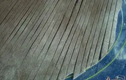 Затем разделить его на несколько частей, раскатать тонко и нарезать на полоски.