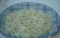 На дно огнеупорной формы нарезаем четверть кольцами лук. Посыпаем его солью и специями.