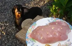 Песику, даем только понюхать) Угостим попозже.)