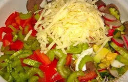 Все ингредиенты нарезать на средние кусочки, сыр натереть, соль, перец по вкусу, заправить соусом из сметаны и майонеза.
