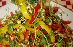 Салат"Солнце"красный и жёлтый болгарский перец,укроп,петрушка,проросшие ростки чечевицы,посолила чуть и подс.масло...такая свежесть мммм.....)