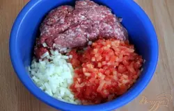 Смешать фарш с мелко нарезанными помидорами и луком.