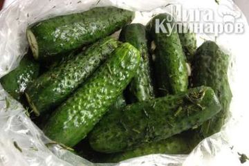 фото рецепта Малосольные огурцы без рассола