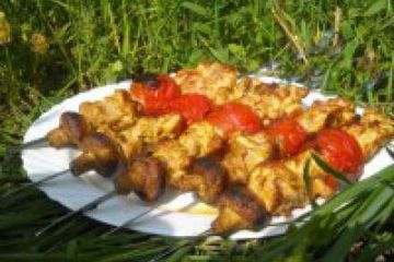 фото рецепта Шашлык из курицы в майонезе