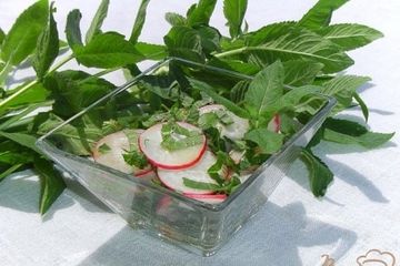 фото рецепта Салат из редиса, мяты и зелени