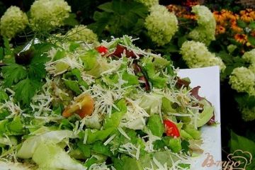 фото рецепта Зеленый салат с помидорами черри и пармезаном