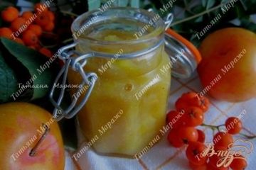 фото рецепта Сливовый соус к мясу