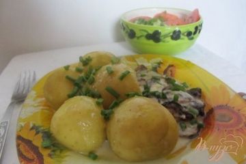 фото рецепта Картофель с кабачками под сметанным соусом.