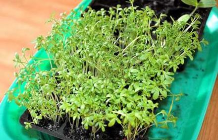 шаг 2