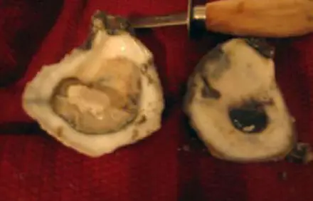 шаг 1