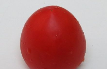 шаг 5