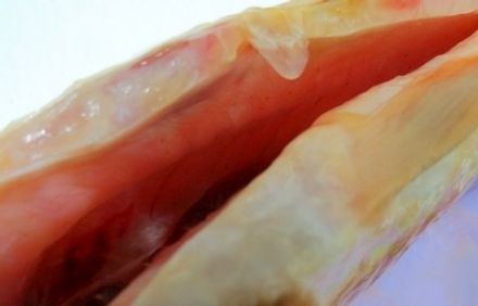 шаг 7