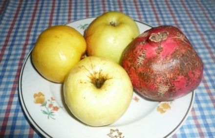шаг 1