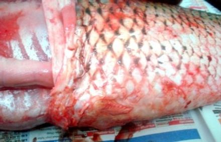 шаг 2