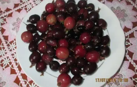 шаг 2