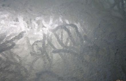 шаг 6